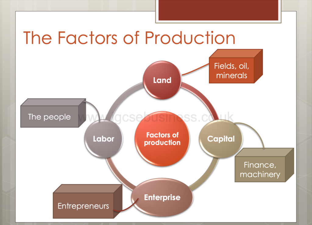 Business Activity Presentation